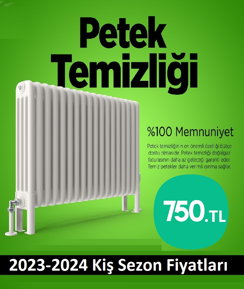 Kavacık Petek Temizliği Tek Fiyat Teklifi Al